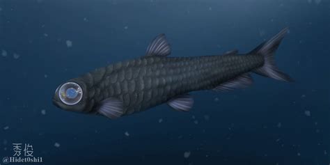 Pseudobathylagus .